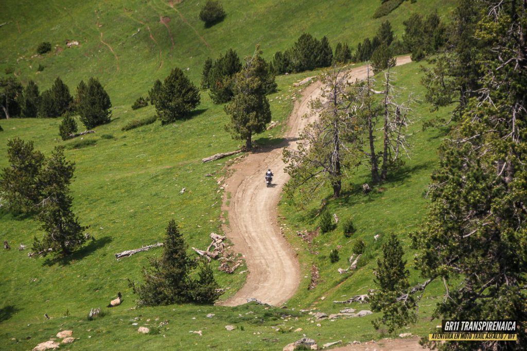 Gr11 Transpirenaica En Moto Trail 2023 061