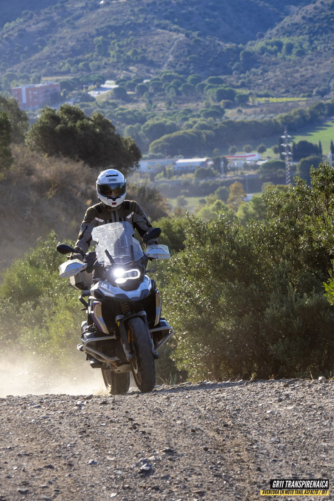 Gr11 Transpirenaica 006