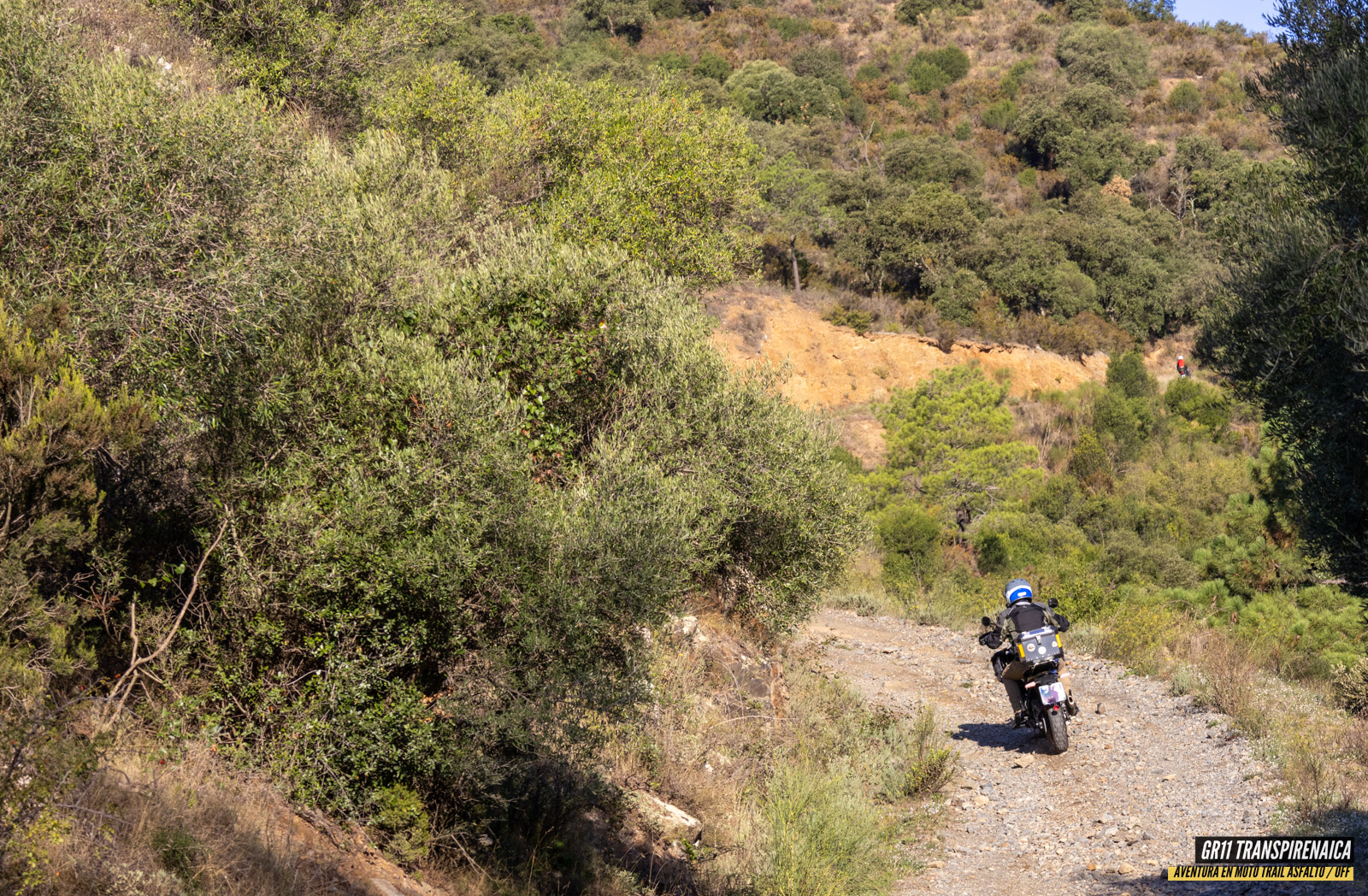 Gr11 Transpirenaica 017