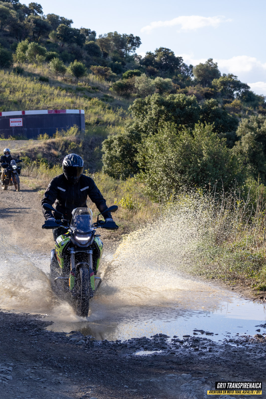 Gr11 Transpirenaica 019