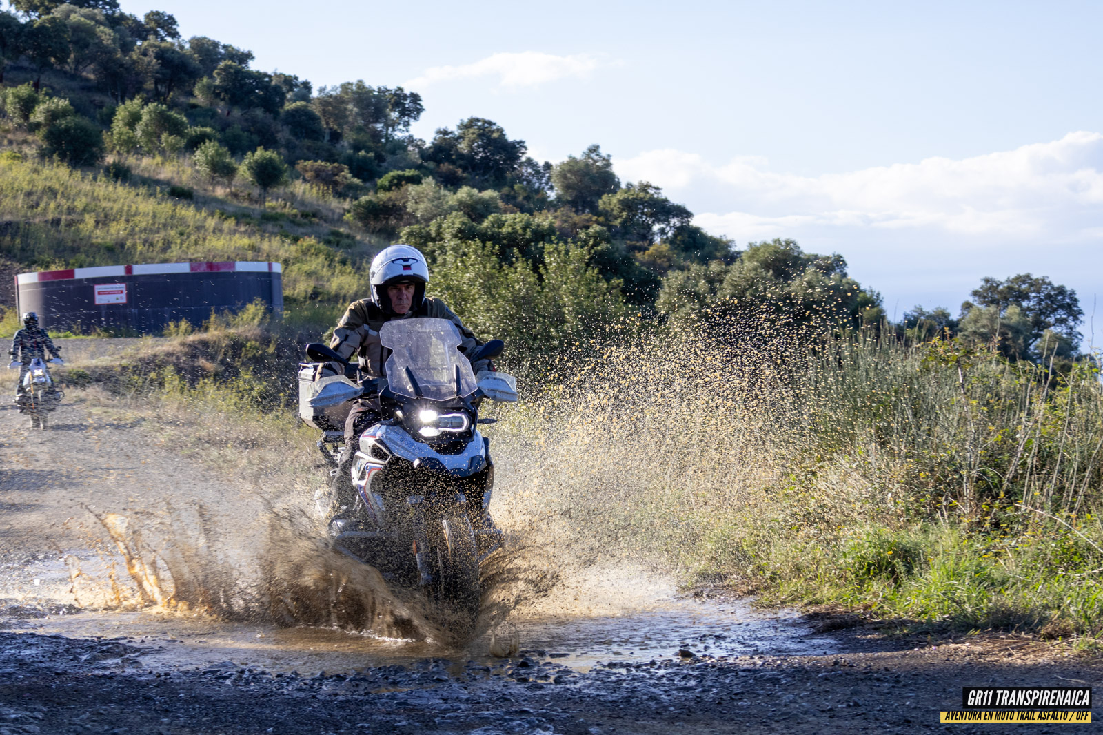 Gr11 Transpirenaica 023