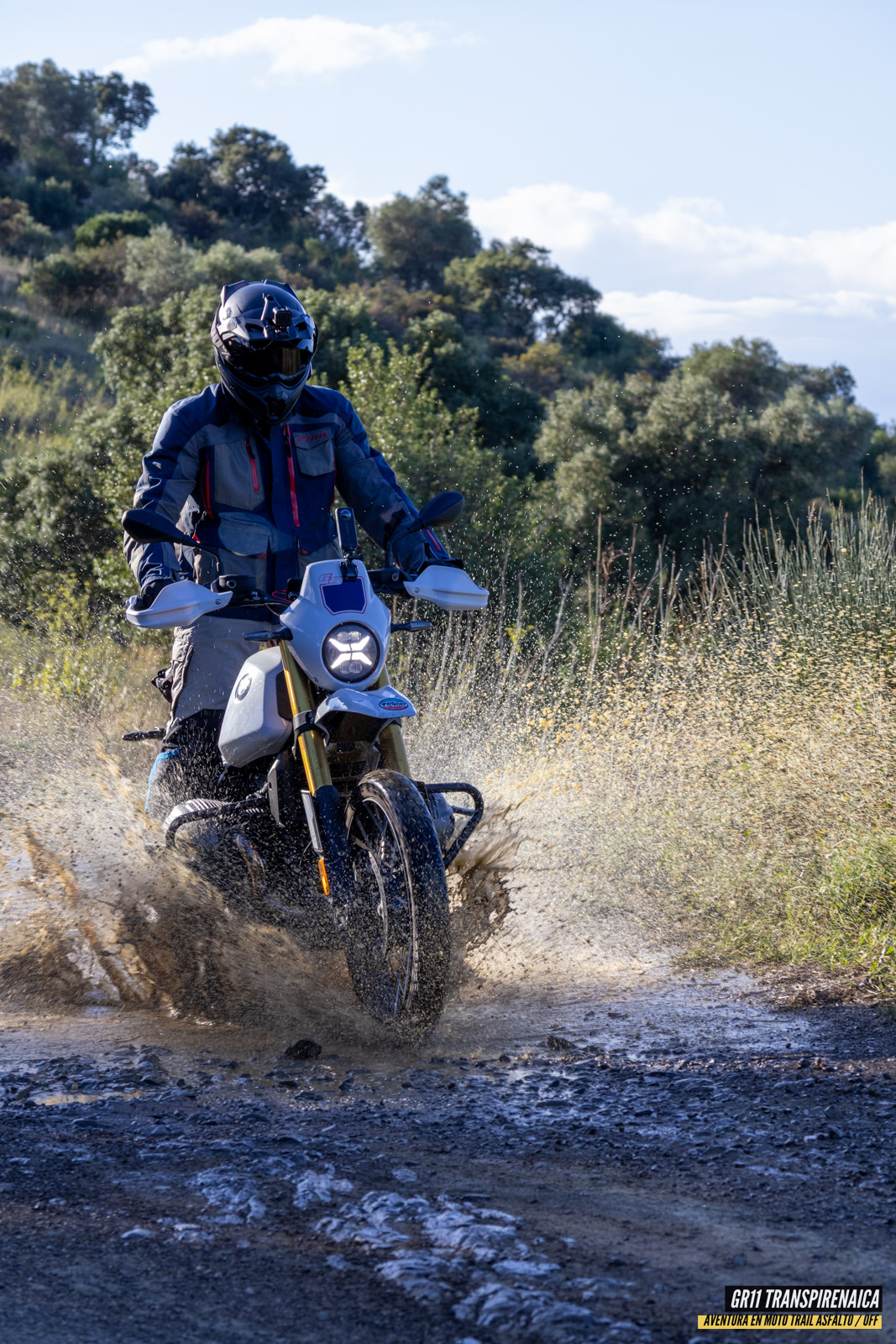 Gr11 Transpirenaica 024