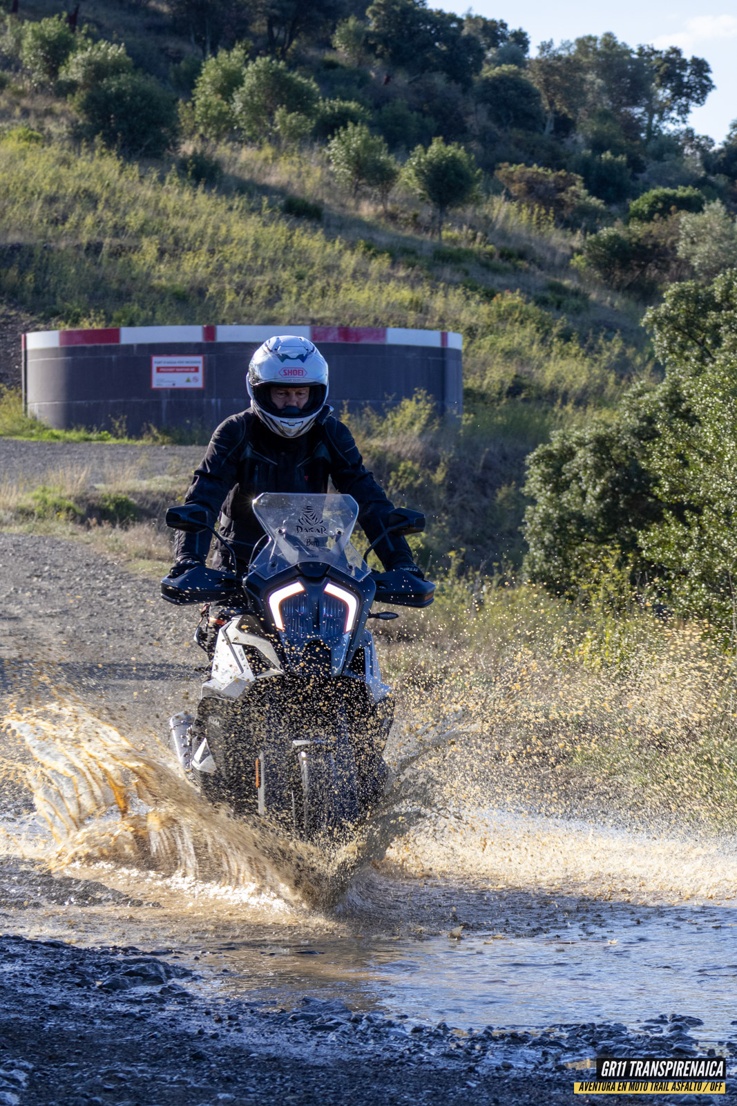 Gr11 Transpirenaica 025