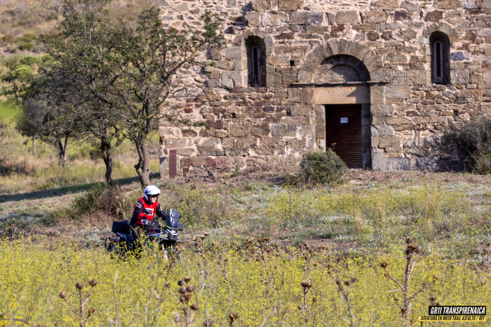 Gr11 Transpirenaica 029