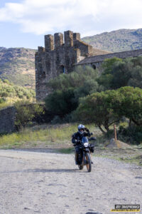 Gr11 Transpirenaica 031