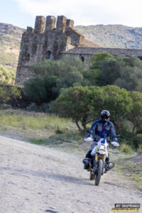 Gr11 Transpirenaica 033