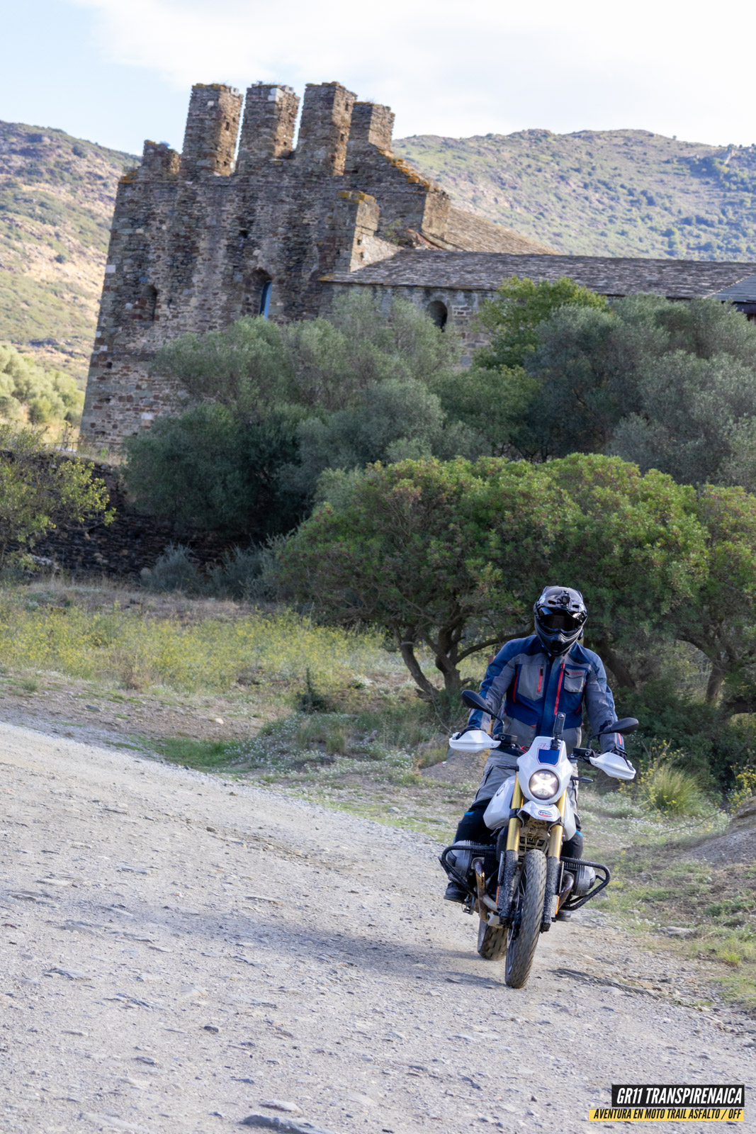 Gr11 Transpirenaica 033