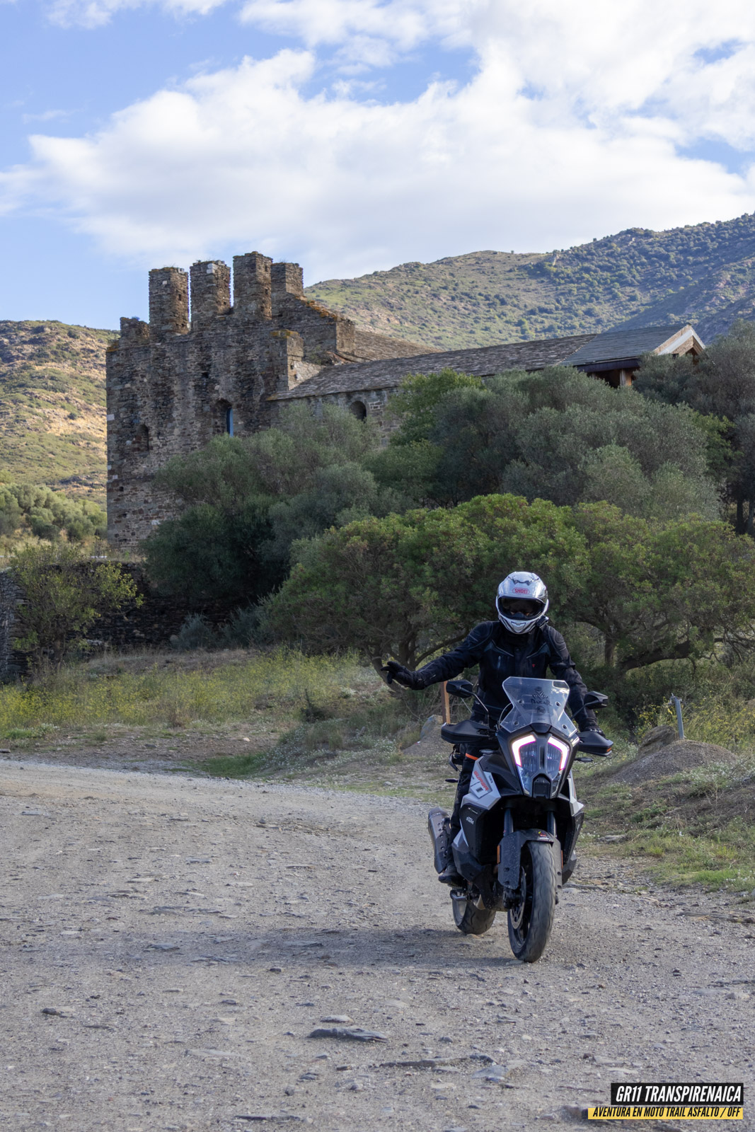 Gr11 Transpirenaica 037