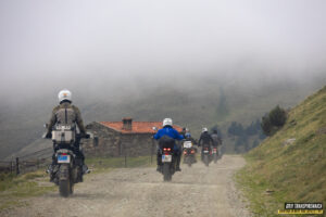 Gr11 Transpirenaica 040