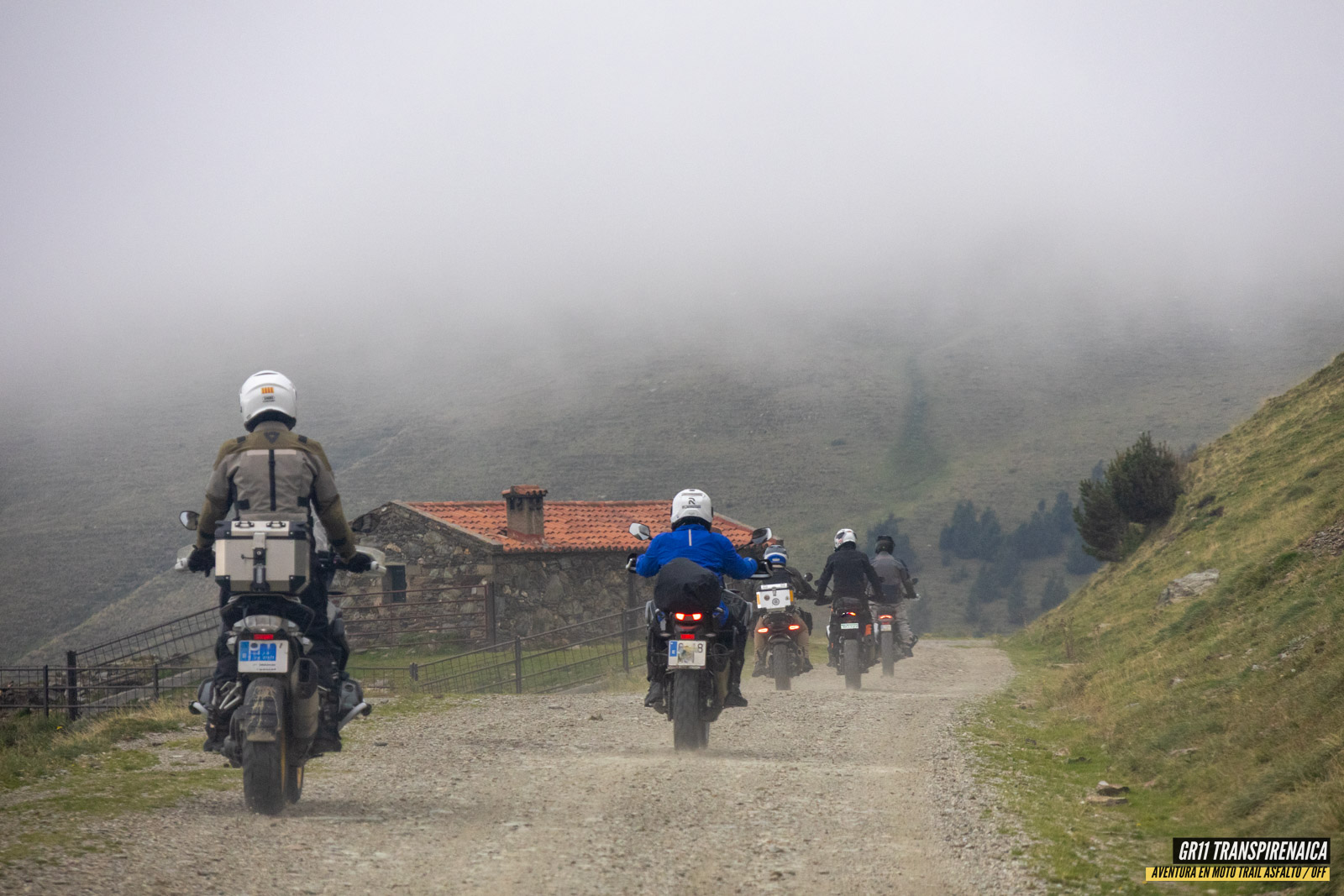 Gr11 Transpirenaica 040