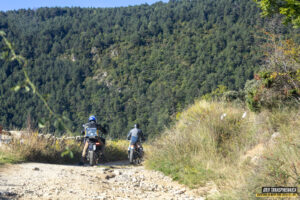Gr11 Transpirenaica 042