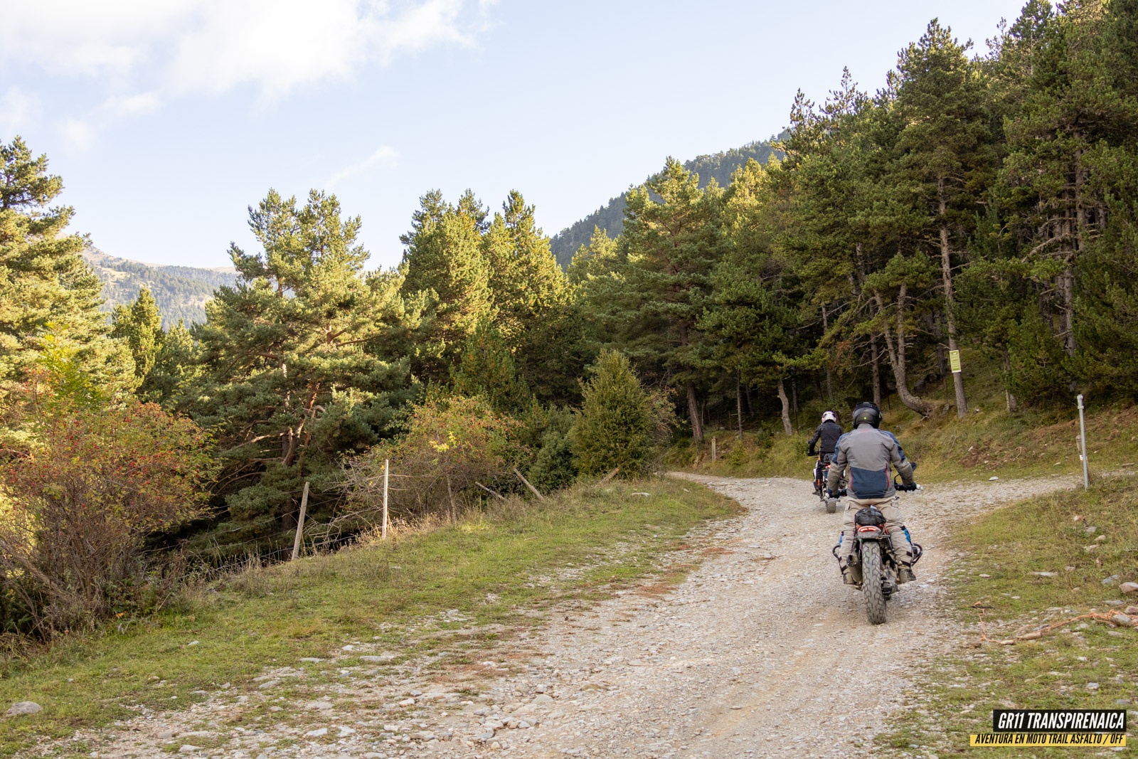 Gr11 Transpirenaica 045