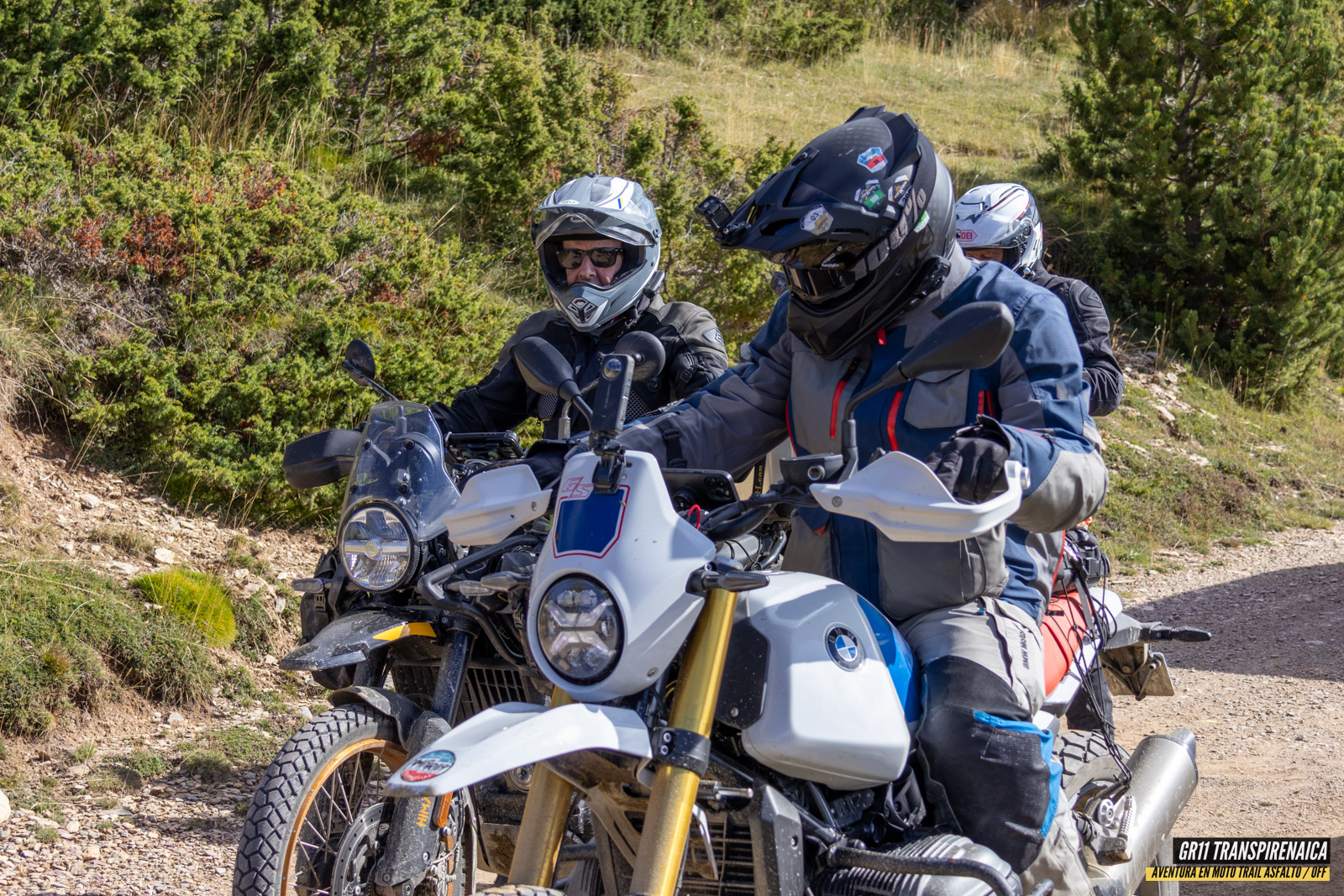 Gr11 Transpirenaica 046