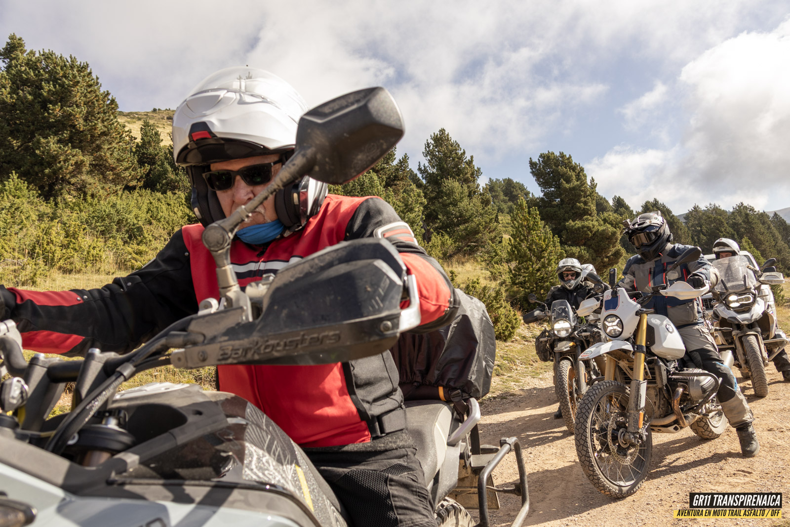 Gr11 Transpirenaica 047