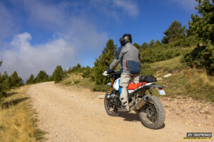 Gr11 Transpirenaica 048