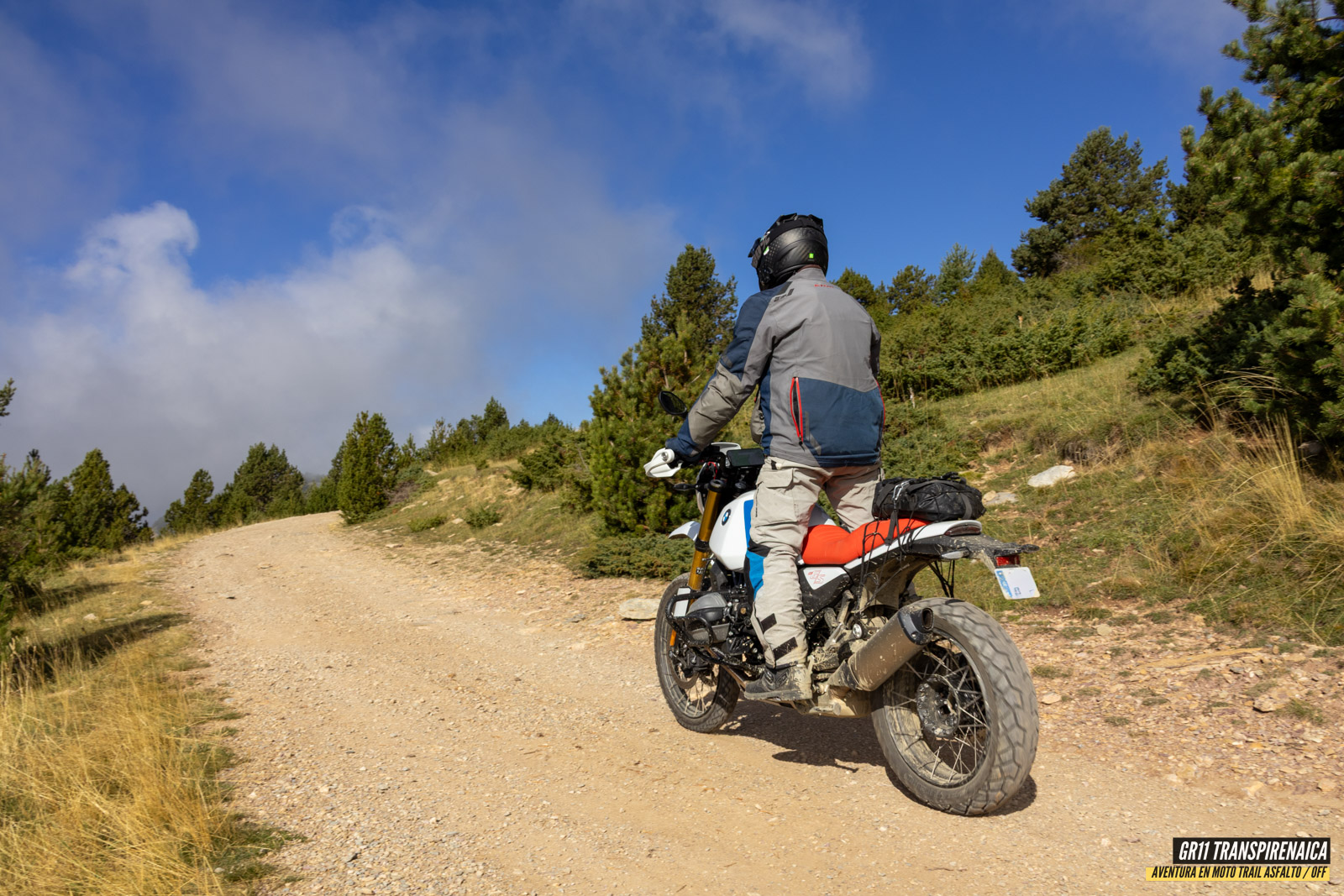 Gr11 Transpirenaica 048