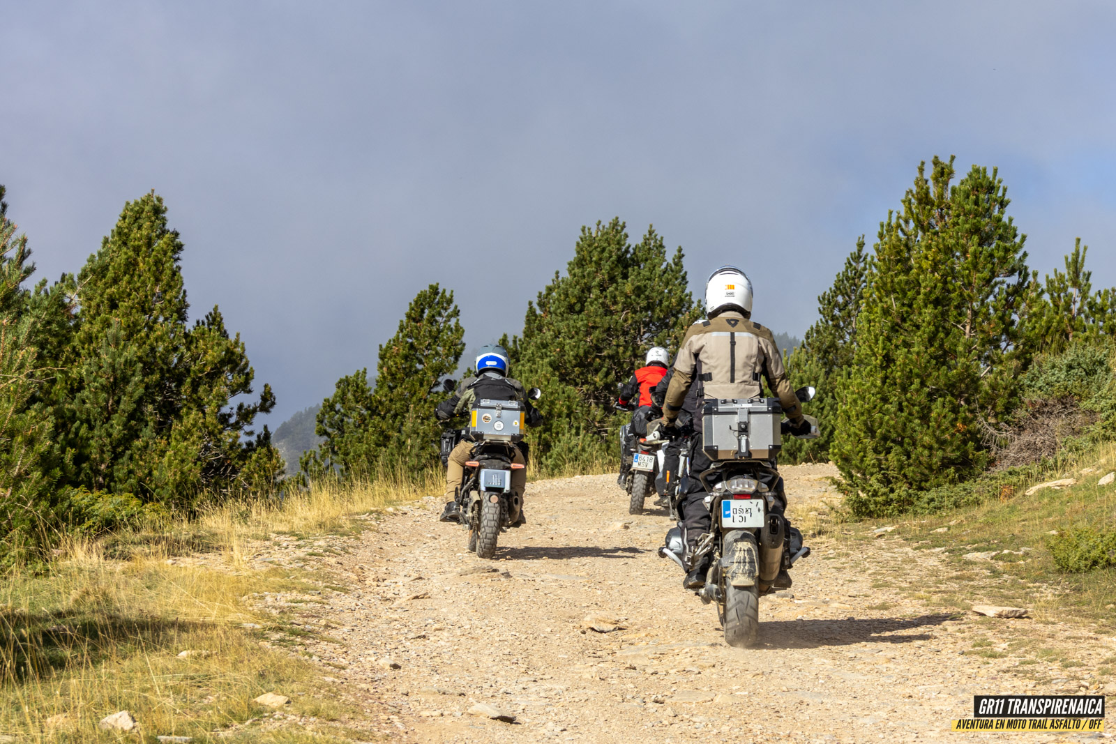 Gr11 Transpirenaica 049