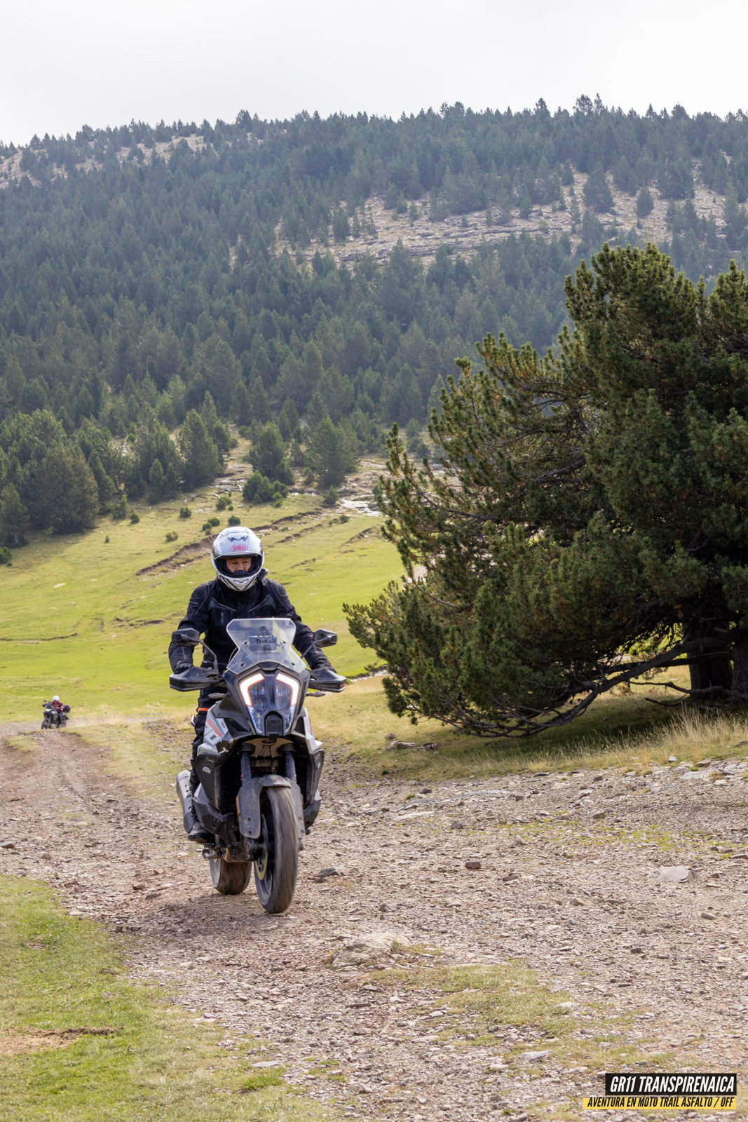 Gr11 Transpirenaica 056