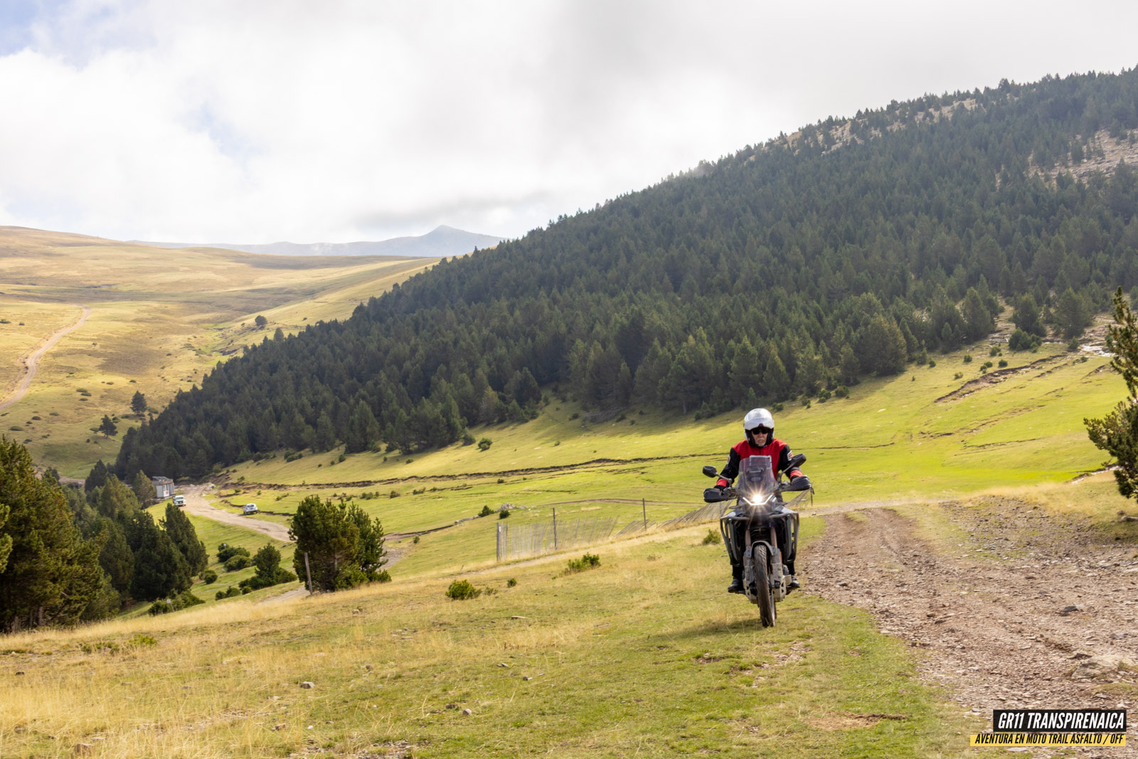 Gr11 Transpirenaica 060