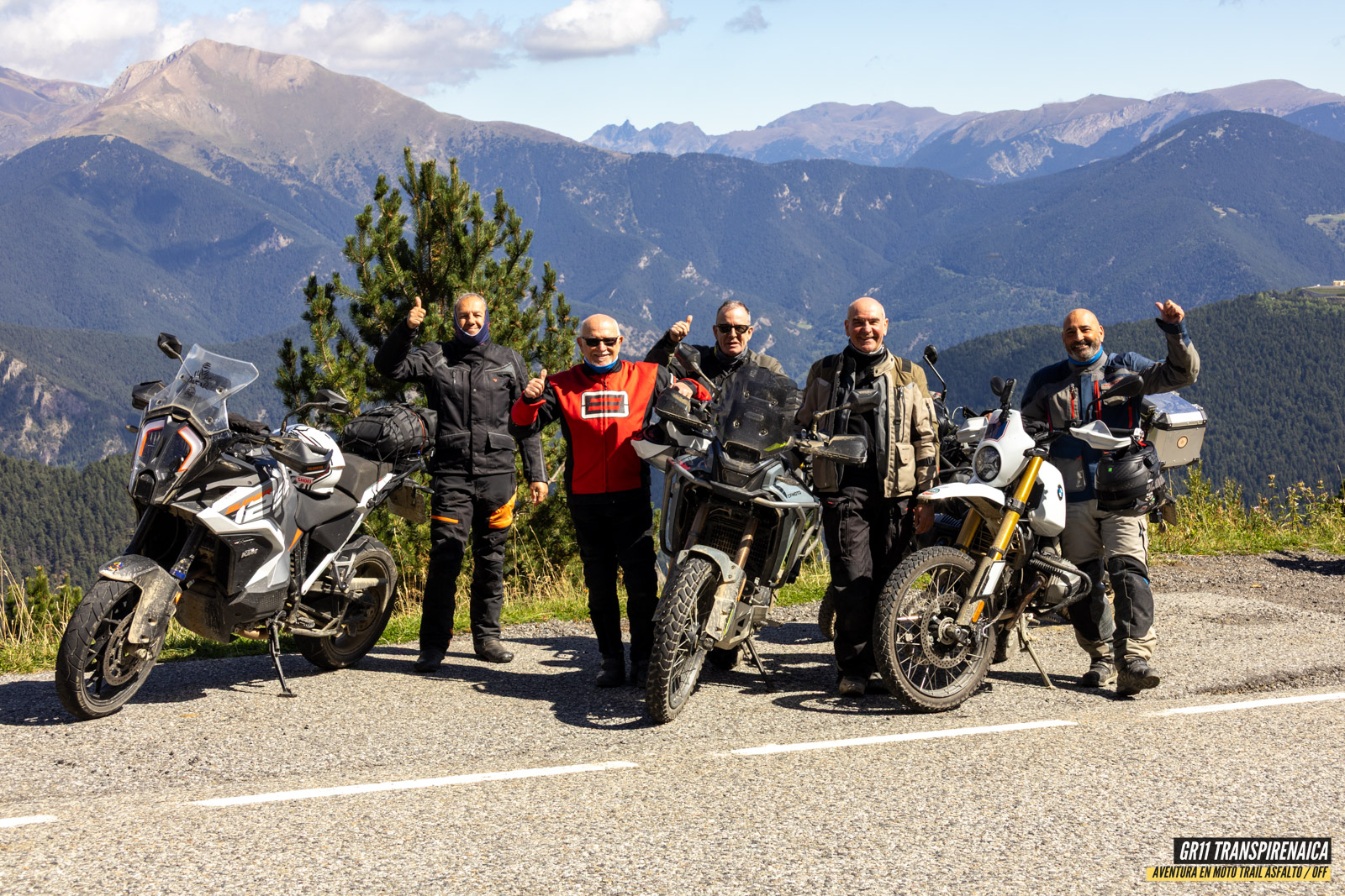 Gr11 Transpirenaica 062