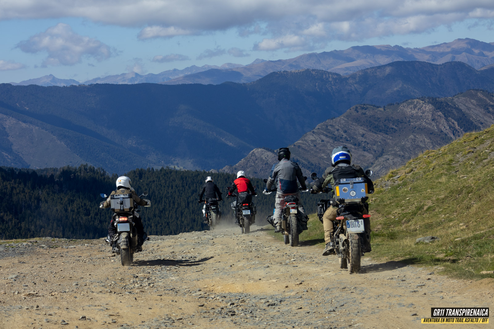 Gr11 Transpirenaica 063