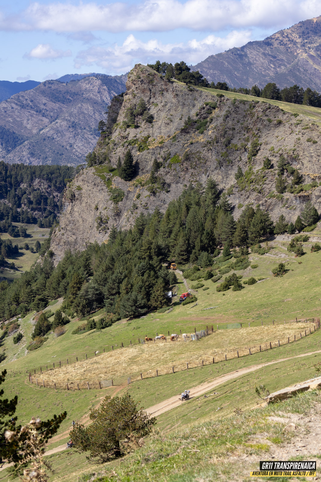 Gr11 Transpirenaica 069