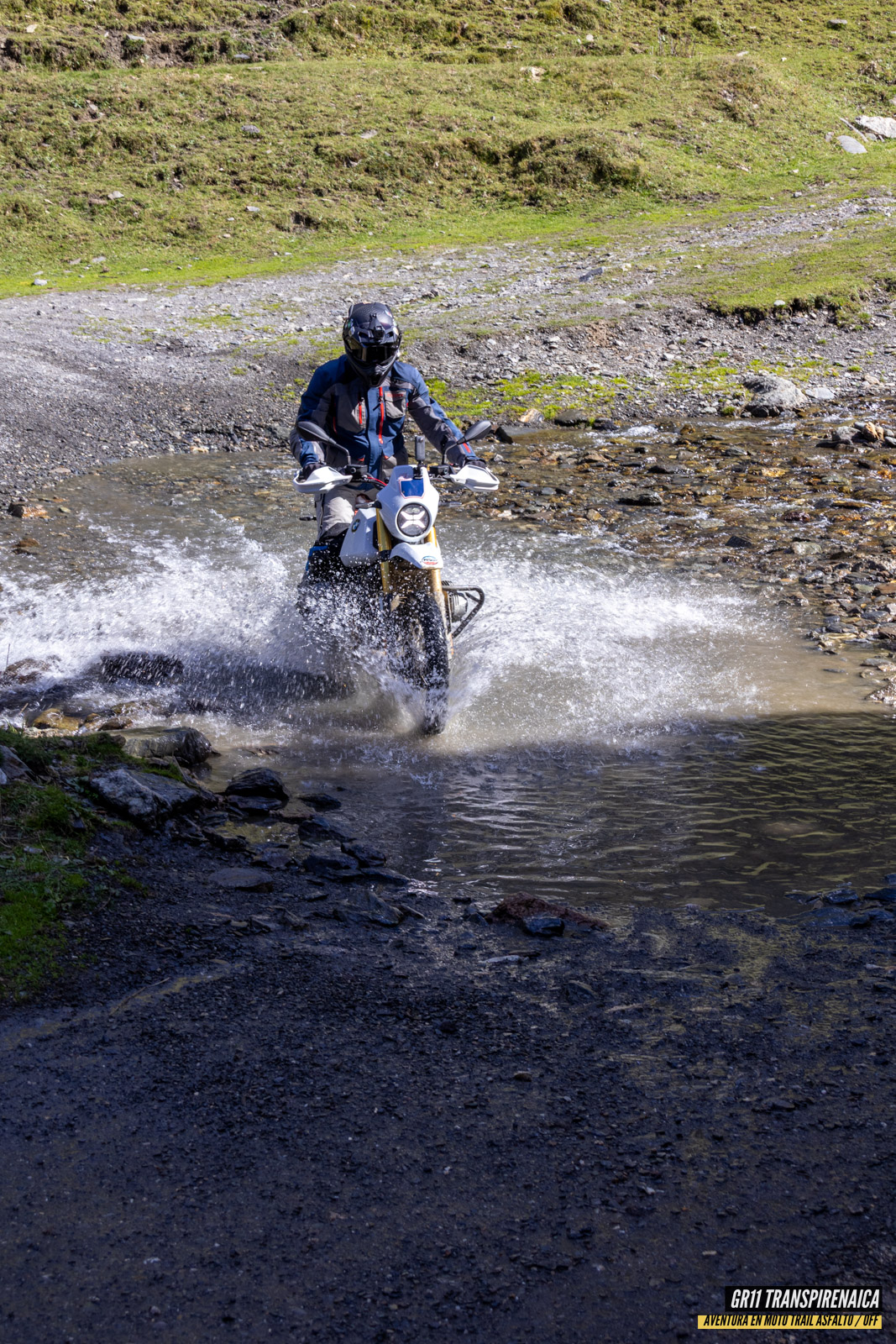 Gr11 Transpirenaica 076