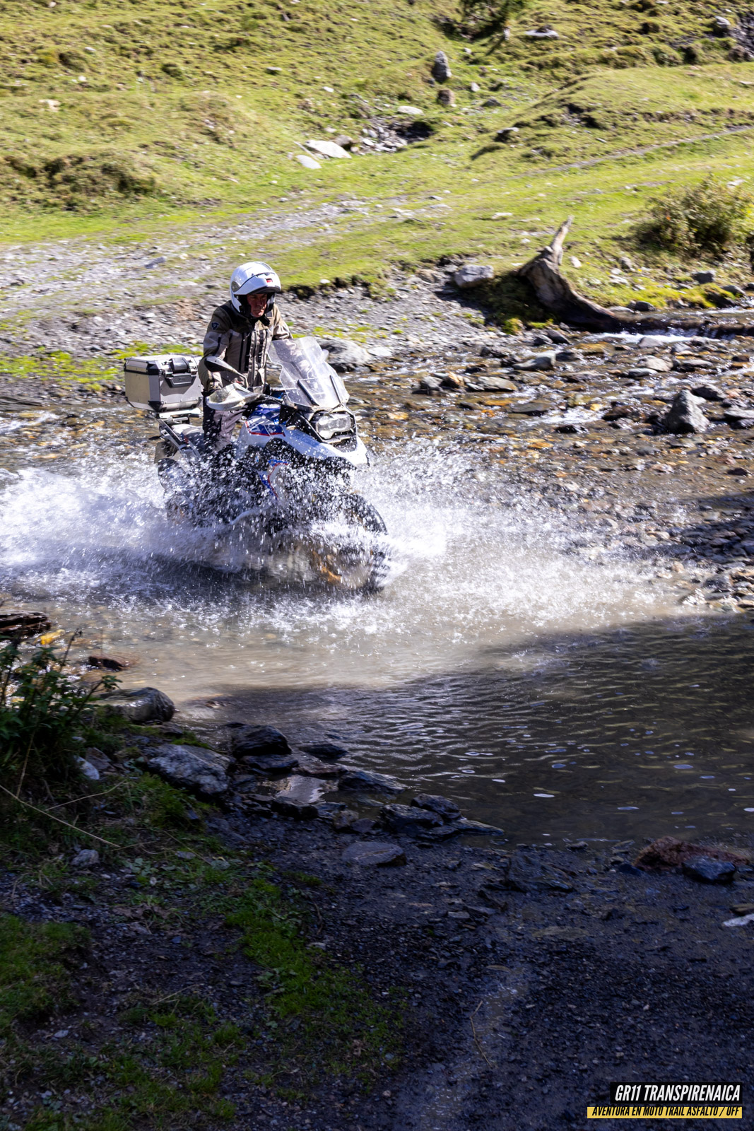 Gr11 Transpirenaica 077