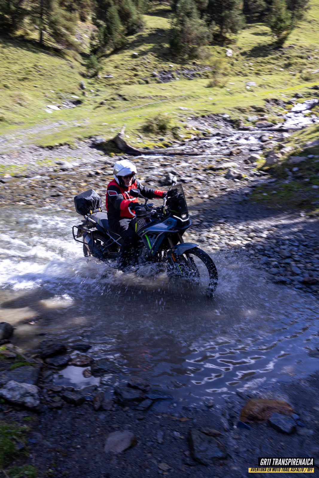 Gr11 Transpirenaica 080