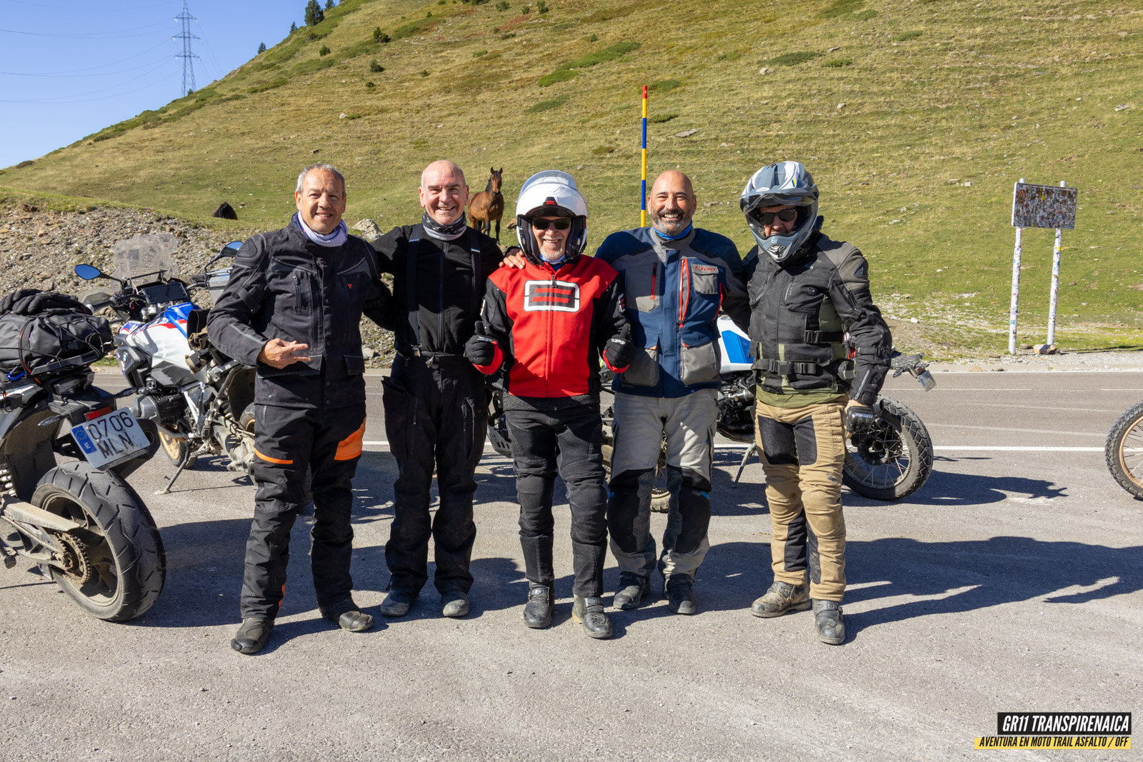 Gr11 Transpirenaica 084