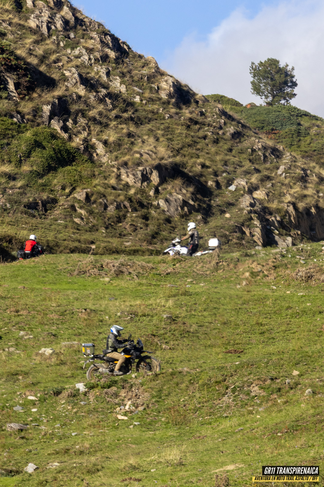 Gr11 Transpirenaica 088