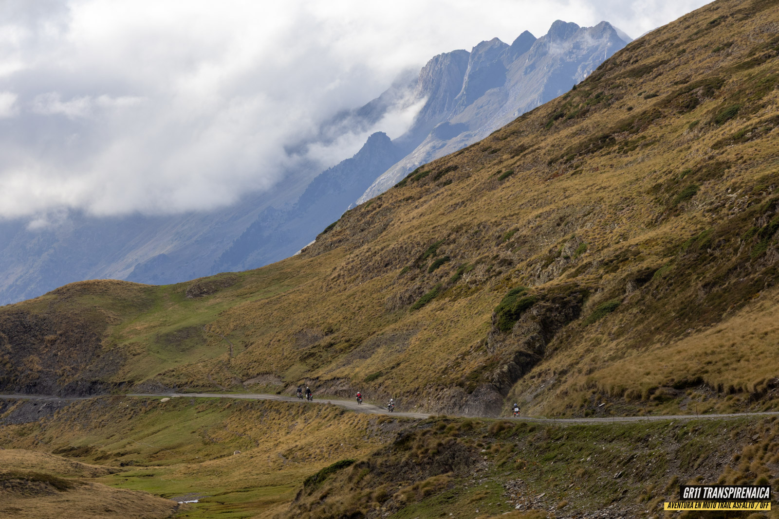 Gr11 Transpirenaica 092
