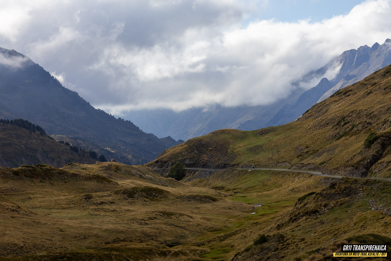 Gr11 Transpirenaica 093