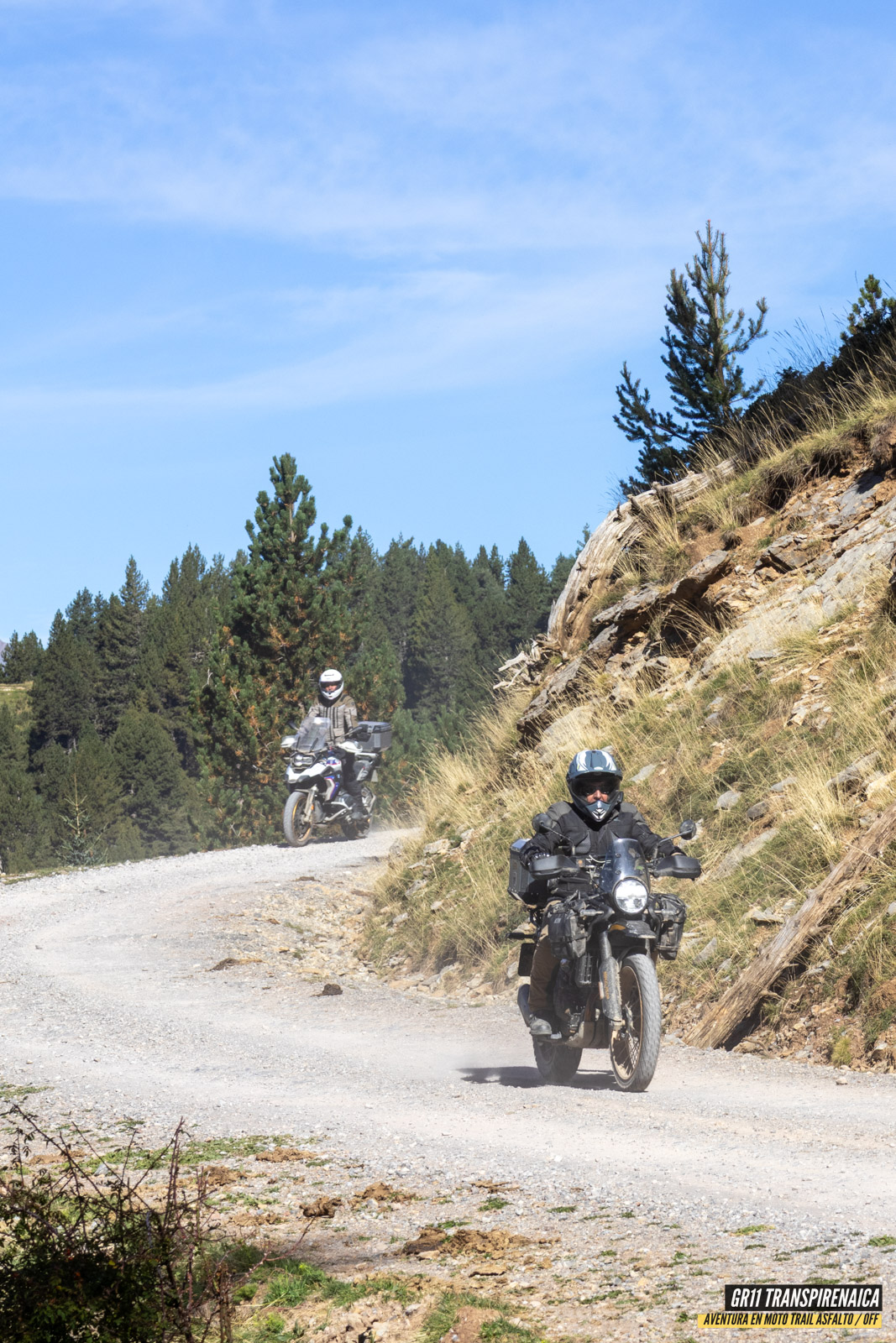 Gr11 Transpirenaica 110