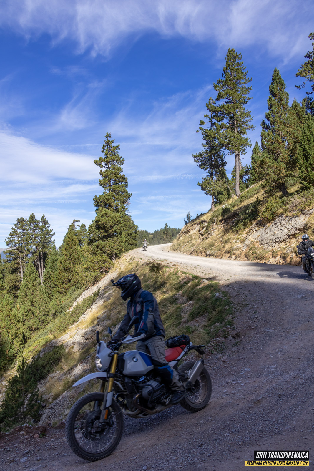 Gr11 Transpirenaica 112