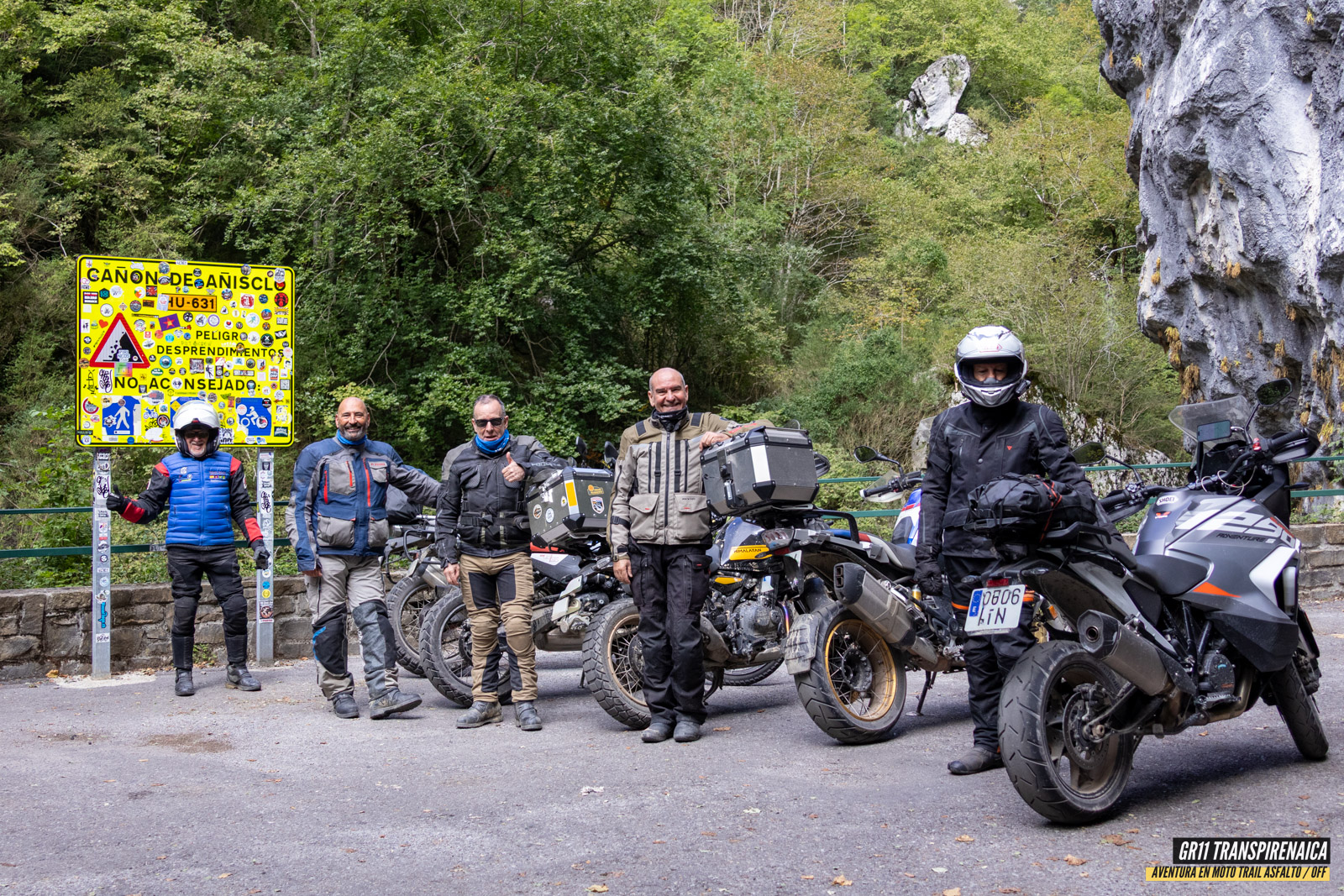 Gr11 Transpirenaica 115