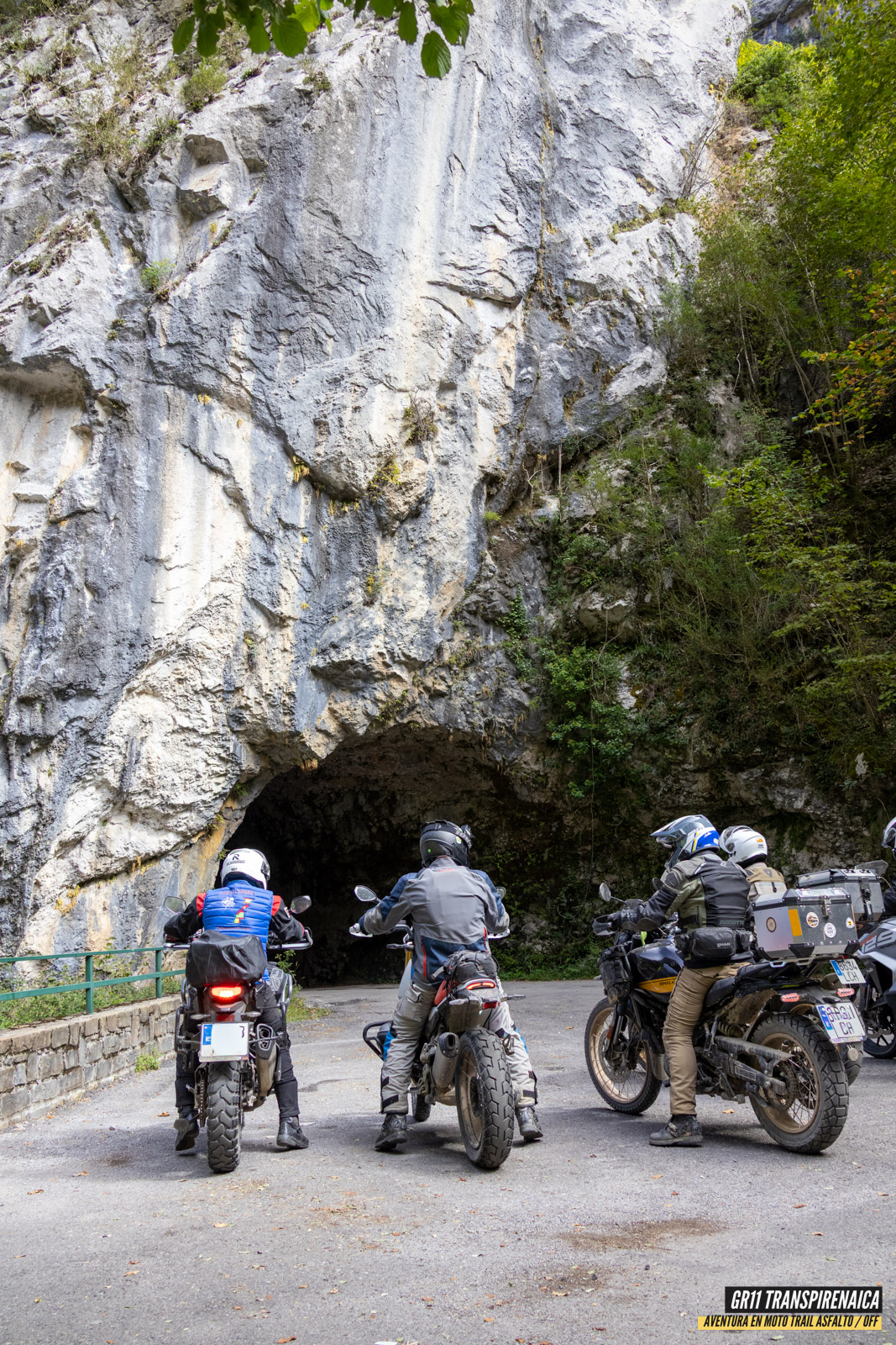 Gr11 Transpirenaica 116