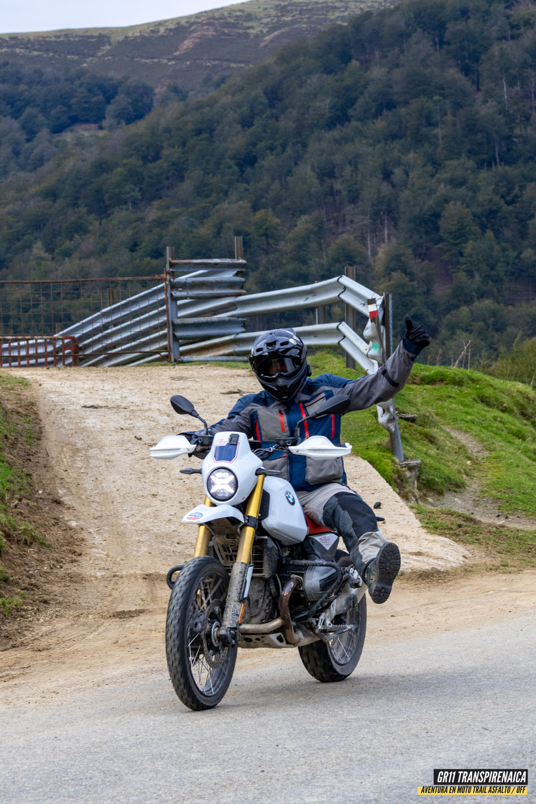 Gr11 Transpirenaica 118