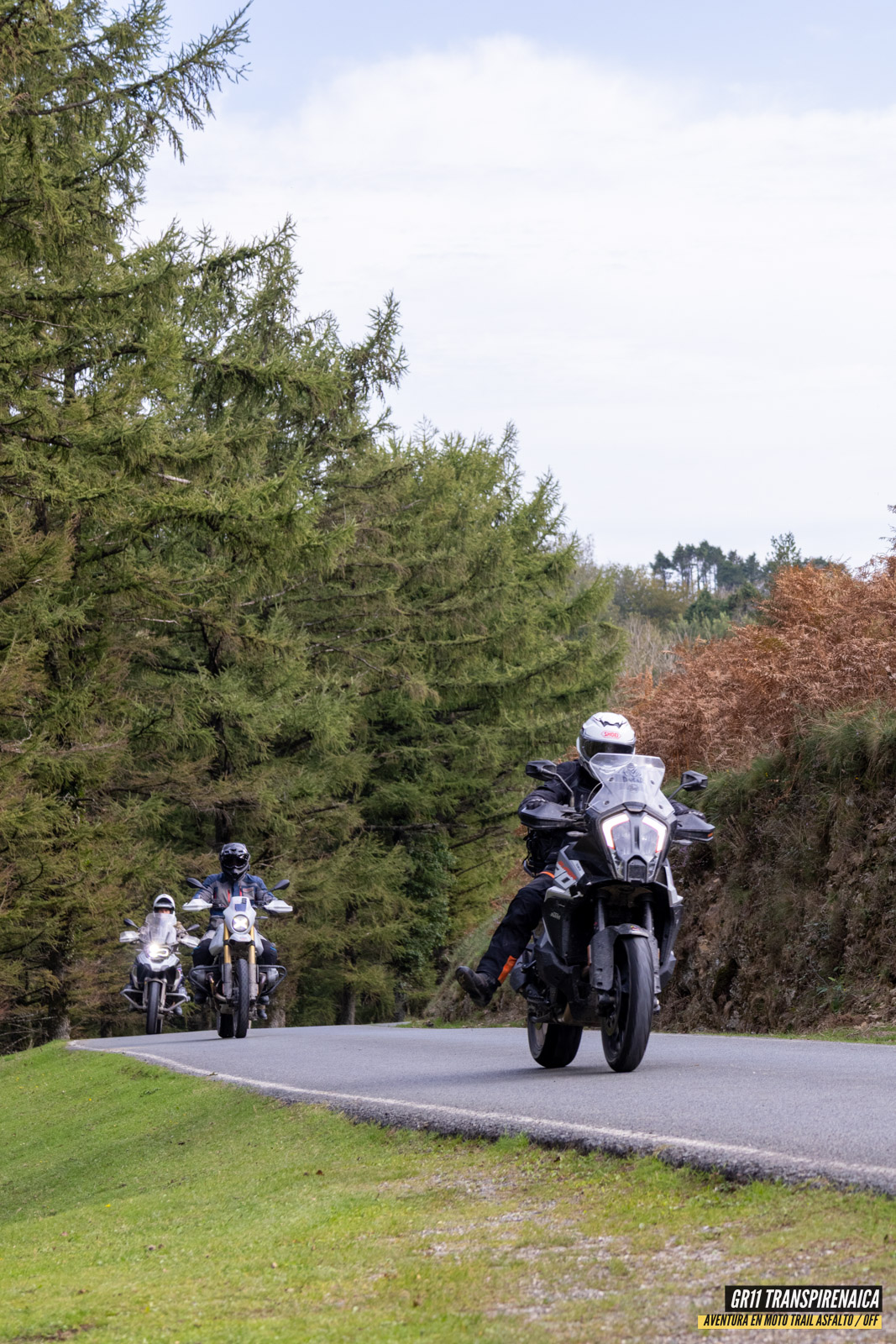 Gr11 Transpirenaica 124