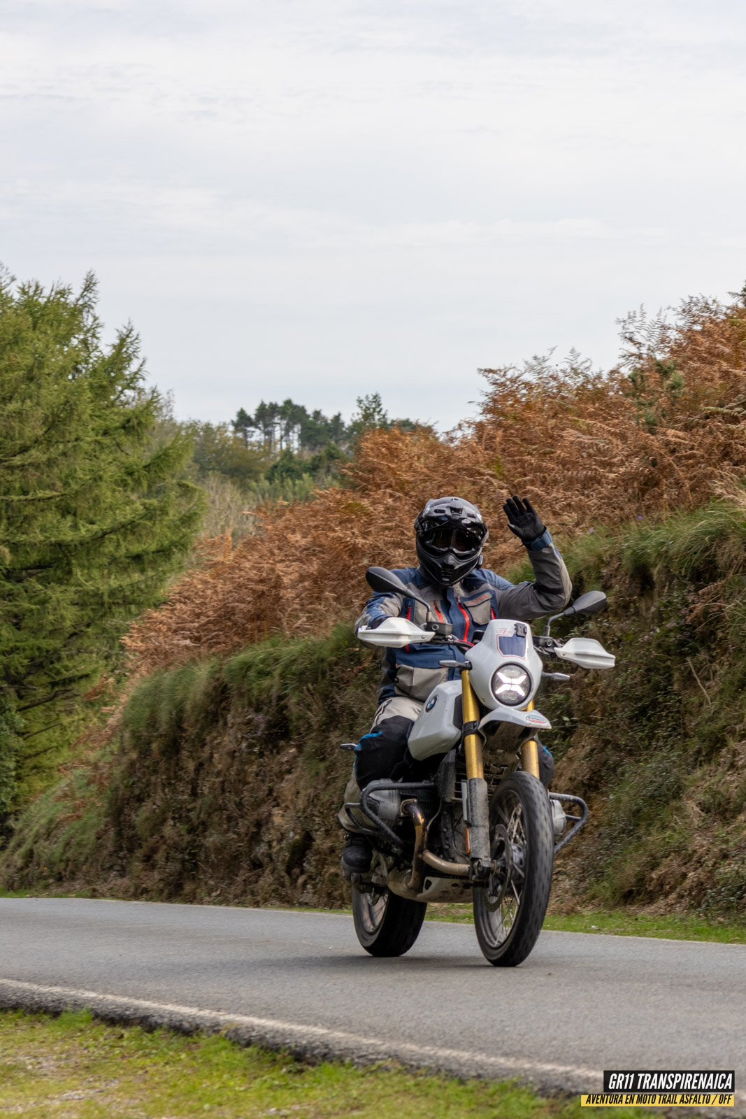 Gr11 Transpirenaica 126